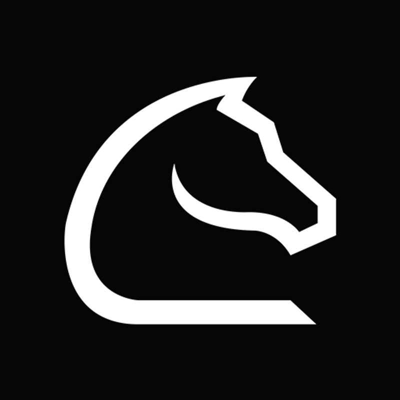 Official Chessnut by Guidaio