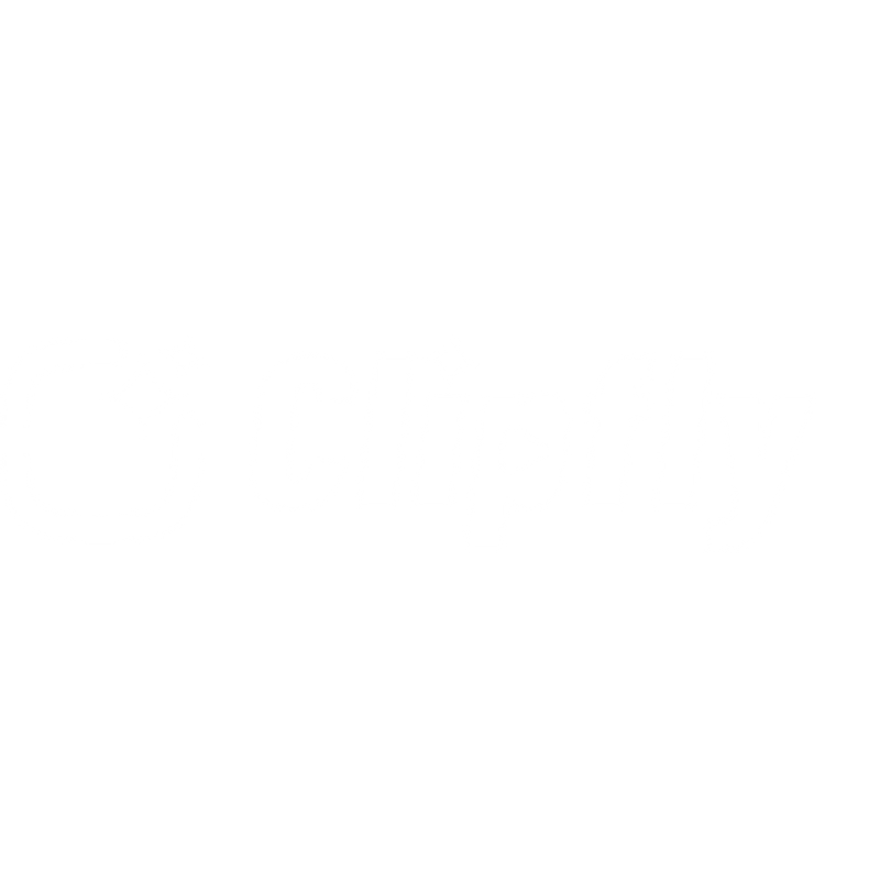 Official Clipfly by Guidaio