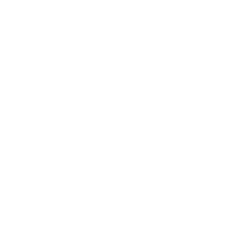 Official Gecko Security by Guidaio