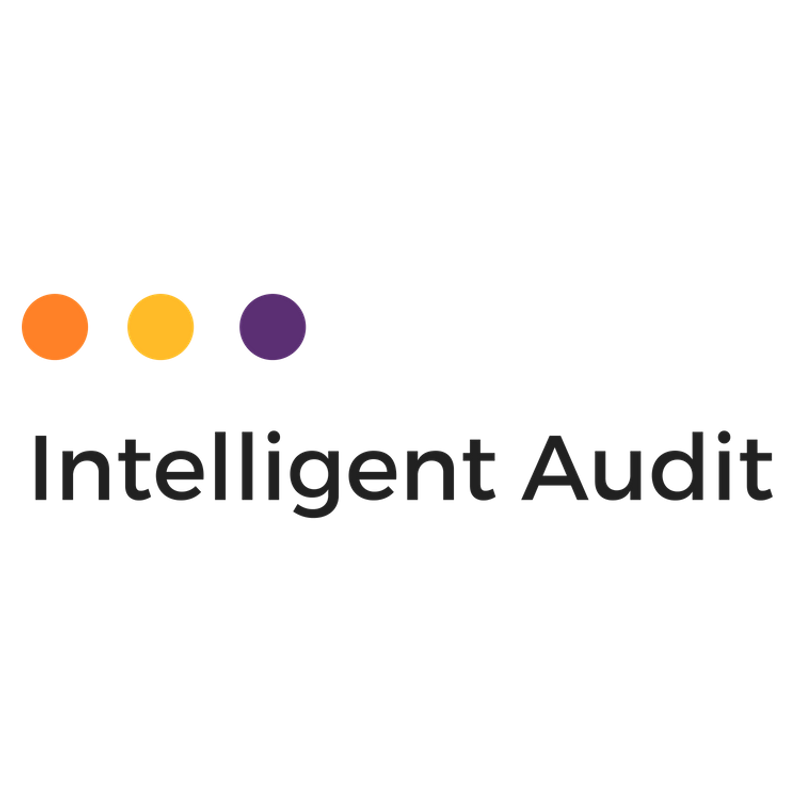 Official Intelligent Audit by Guidaio