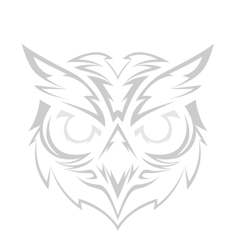 Official OpenOwl by Guidaio