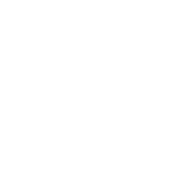 Official Reveal AI by Guidaio